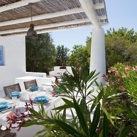 Casa Do Planalto By Patio 25 Villa Silves Eksteriør billede